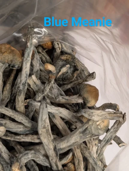 BLUE MEANIE - SHROOMS