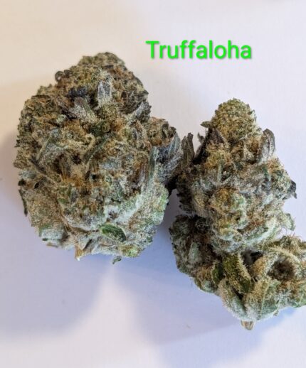 TRUFFALOHA - PROFESSOR PUFF'S CRAFT CANNABIS