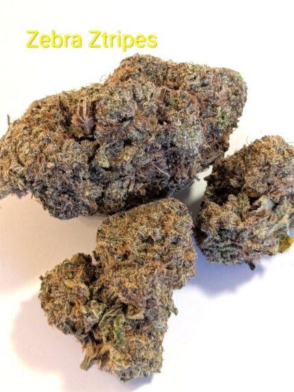 ZEBRA ZTRIPES  (LSO)  - SKUNCLE'S FINEST {CLEARANCE SALE ALL SALES FINAL}