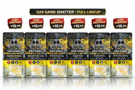 GAS GANG SHATTER