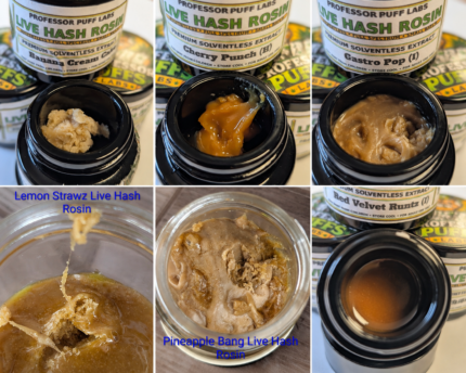 LIVE HASH ROSIN  by PROFESSOR PUFF LABS