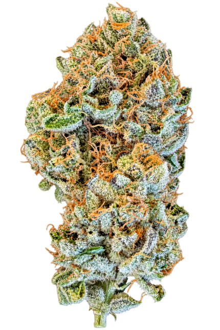 GREASE MONKEY - PROFESSOR PUFF'S CRAFT CANNABIS