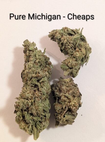 PURE MICHIGAN - CHEAPS