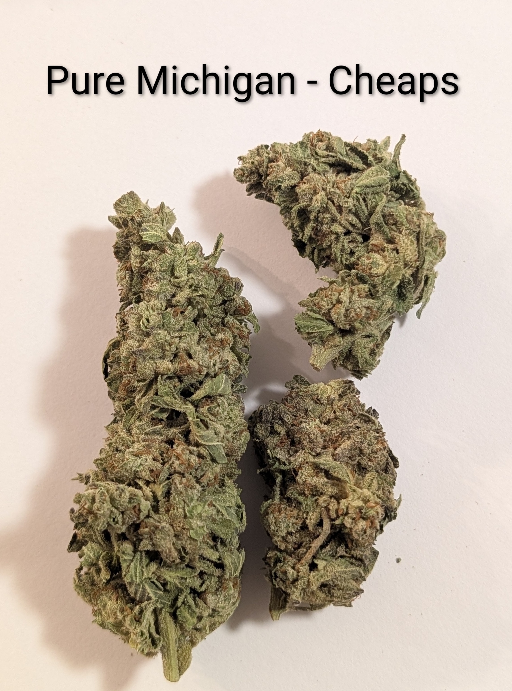 Pure Michigan 2
