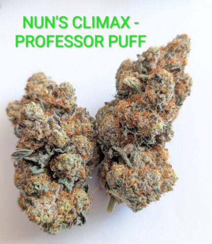 NUN'S CLIMAX - PROFESSOR PUFF'S CRAFT CANNABIS