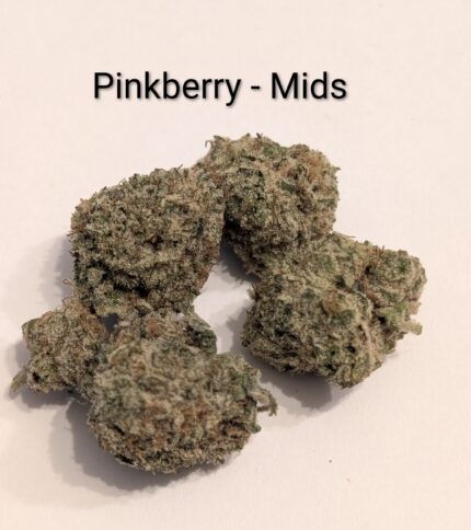 PINKBERRY - MIDS