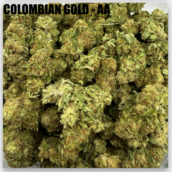 columbian gold
