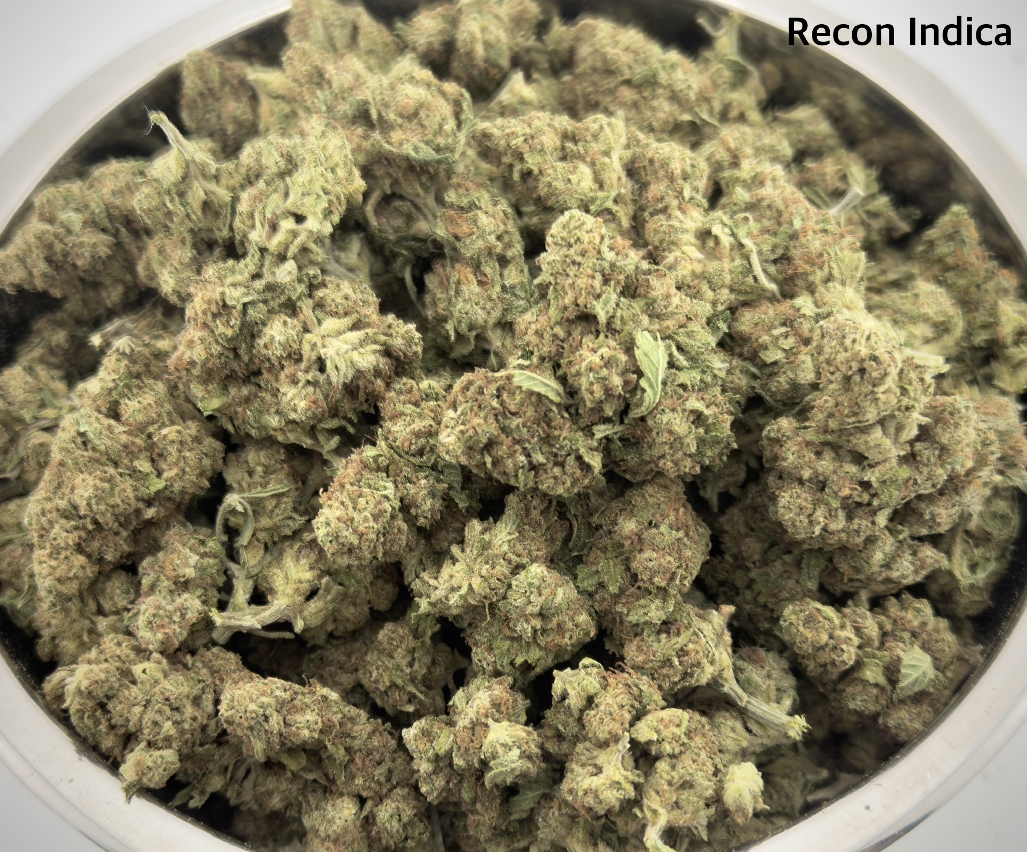 recon