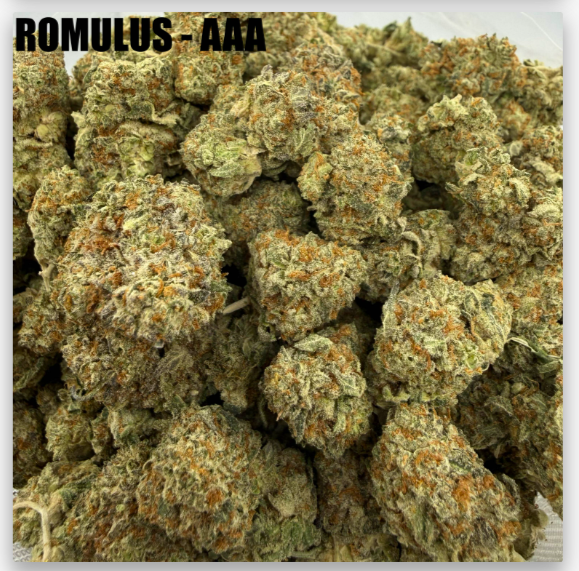 romulus